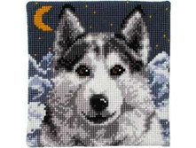 13.01.2011 21:49:52