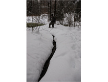 15.01.2011 20:49:59