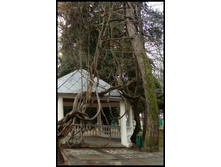 16.01.2011 12:31:38