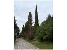 16.01.2011 12:38:18