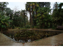 16.01.2011 13:32:41