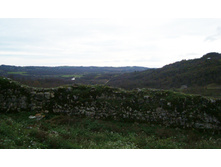 16.01.2011 13:53:42