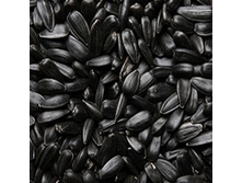 500� - 25�(10��)