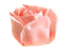 21.01.2011 13:16:52