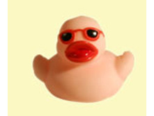 21.01.2011 13:17:11