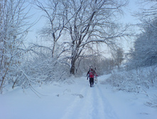 23.01.2011 21:15:33