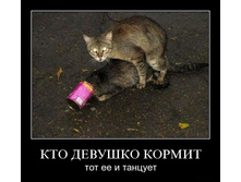 24.01.2011 14:29:09
