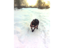 24.01.2011 16:01:04