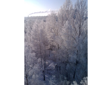 25.01.2011 23:13:36