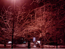 25.01.2011 23:14:41