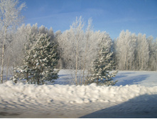 27.01.2011 21:22:14