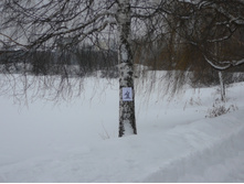 29.01.2011 22:22:32