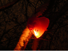 29.01.2011 22:38:17