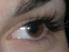 30.01.2011 14:20:15