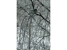 30.01.2011 15:28:23