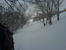 31.01.2011 17:51:02