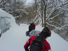 31.01.2011 17:51:08
