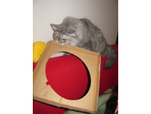 31.01.2011 17:56:47