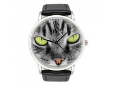 ���� Cat 500+%