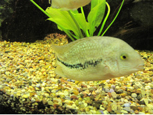 IMG_6081.jpg