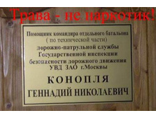 8f3b76.jpg