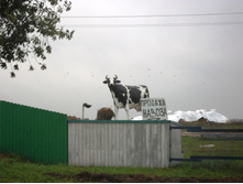������� 2010 227.jpg