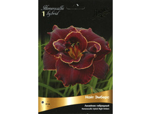 �������� ��������� ���� ������ 190,0