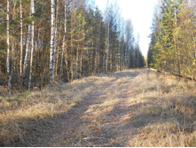 DSCN2189s.JPG