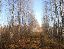 DSCN2197s.JPG