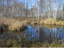 DSCN2199s.JPG