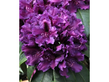 194���. ����������� ��������� ������.jpg