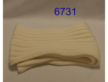 6731.jpg