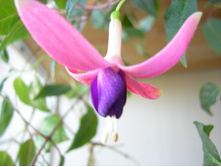DSCN7971.JPG