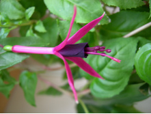 DSCN8004.JPG