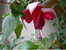 DSCN8005.JPG