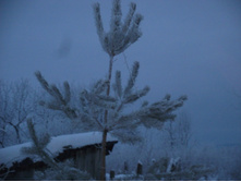 DSCF1627.JPG