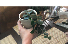2013-10-18 19.50.36.jpg