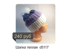 d5117.jpg