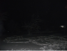 DSCF1655.JPG