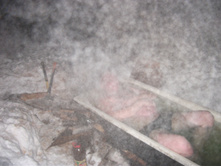 DSCF1661.JPG