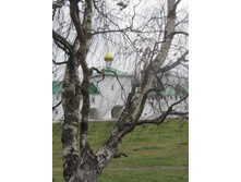 IMG_3127.JPG