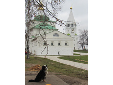 IMG_3144.JPG
