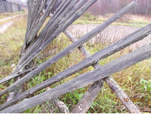 DSCN3631.JPG