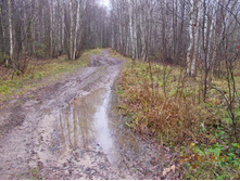 DSCN3635.JPG