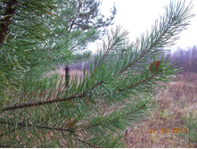DSCN3620.JPG