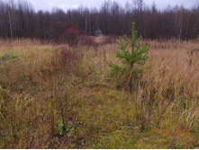 DSCN3630.JPG