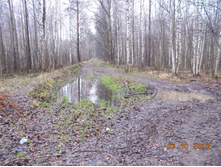 DSCN3653.JPG
