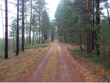 DSCN3654.JPG