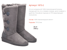 1873-2 ����� �����.png