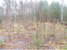 DSCN3684.JPG